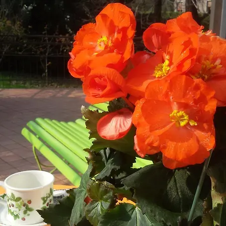 Frühstückspension Marigold